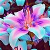 melissalynn0209